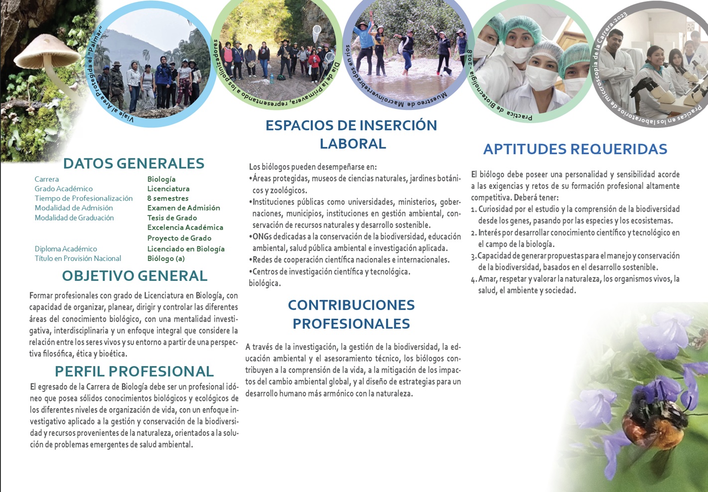 Imagen Informativa 2